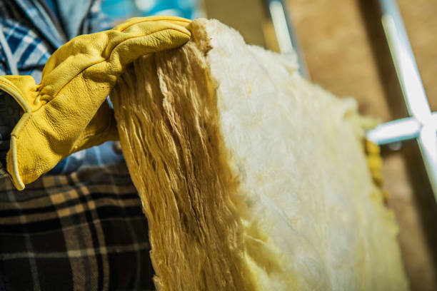 Best Insulation Installation Services in Rapid Valley, SD