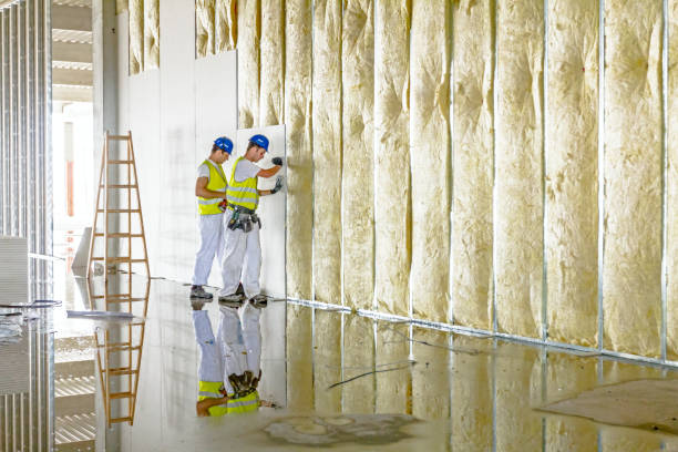 Professional Insulation Contractor in SD
